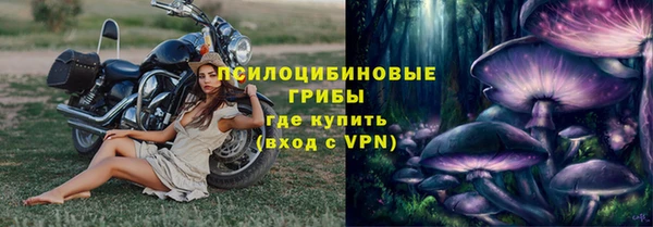 ешки Куйбышев